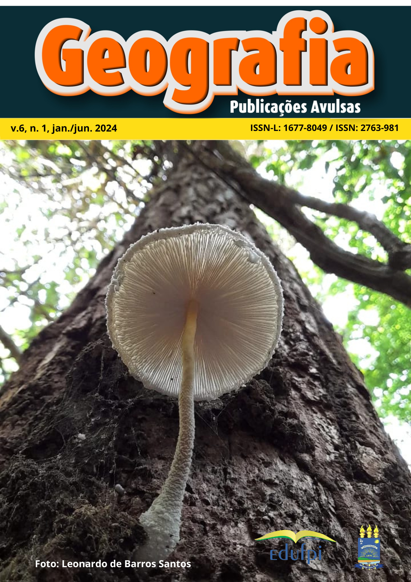 					Visualizar v. 6 n. 1 (2024): Geografia: publicações avulsas
				